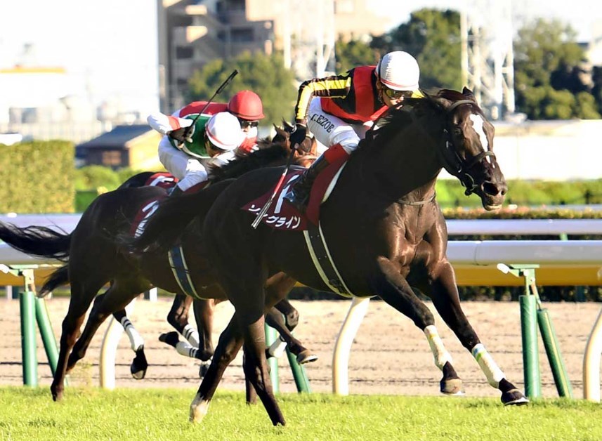 ヴィクトリアマイル2022予想！大穴狙いで逝くぜ！ | 浅次郎のどんぶり競馬2